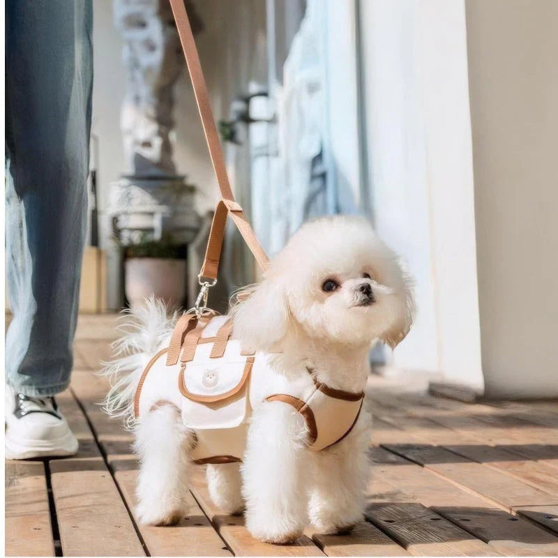 Pet Accessories