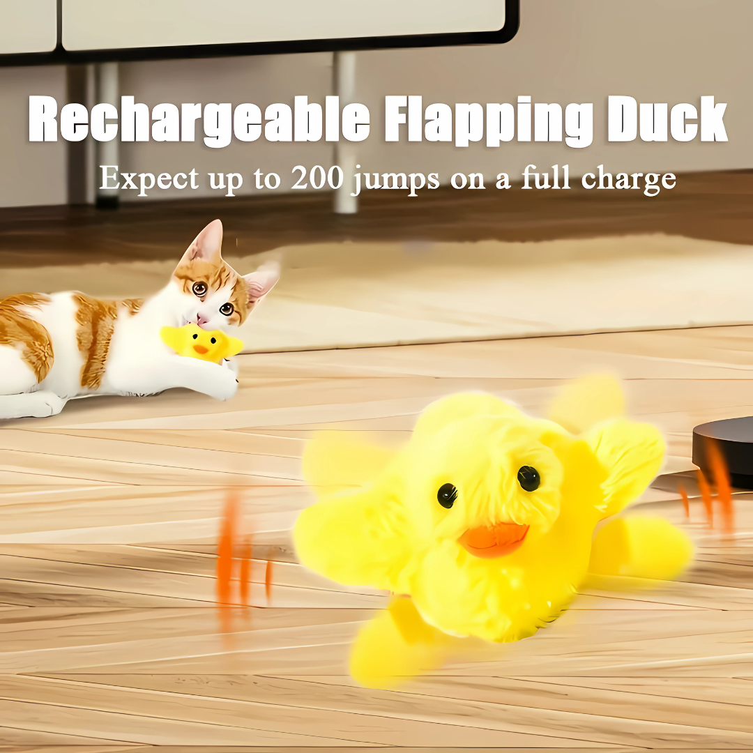 Interactive Electric Cat Toy - USB Rechargeable Flapping Duck