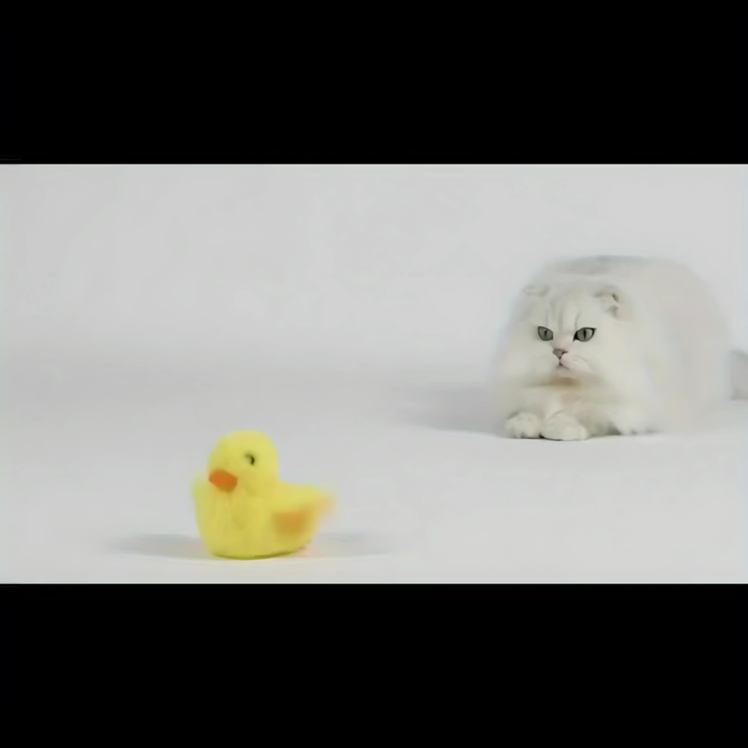 Interactive Electric Cat Toy - USB Rechargeable Flapping Duck