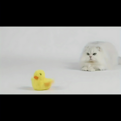 Interactive Electric Cat Toy - USB Rechargeable Flapping Duck