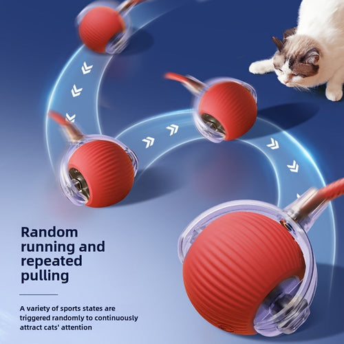 Pet Interactive Rolling Ball - BUY 1 GET 1 FREE!
