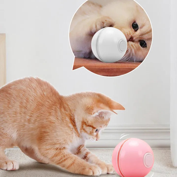 Smart Interactive LED Cat Ball