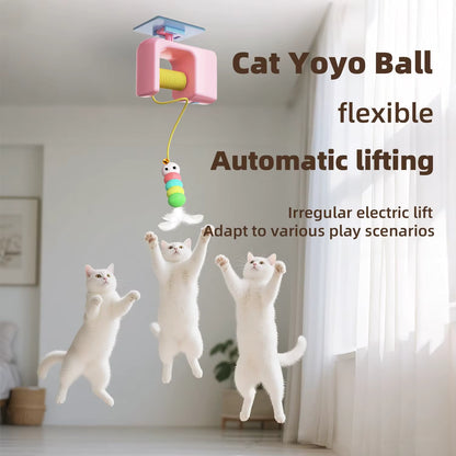 Cat Teaser Hanging Door Yo-Yo Balls