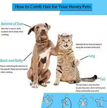Cat Hair removal Brush